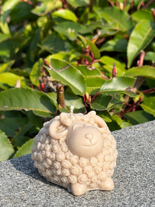 Woolly Sheep