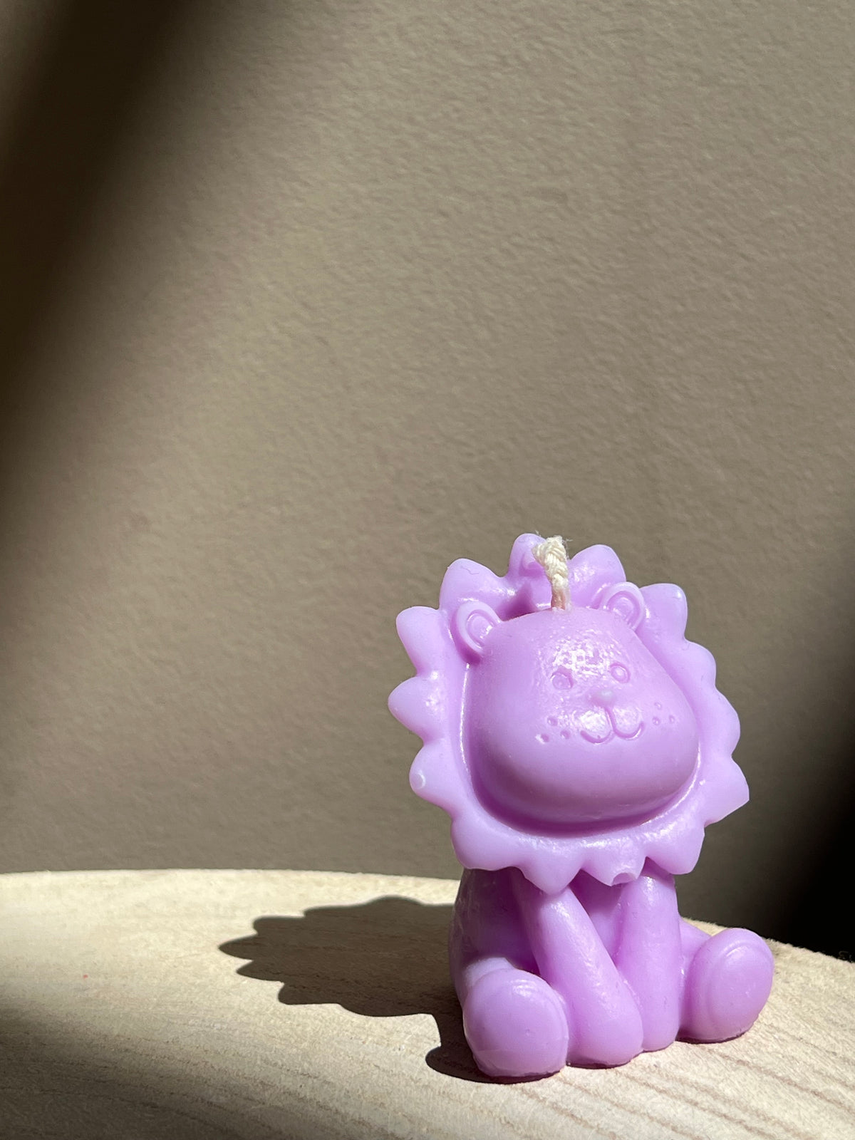 Leeuwtje 🦁