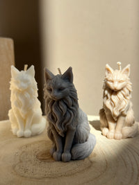 Bougie Maine Coon
