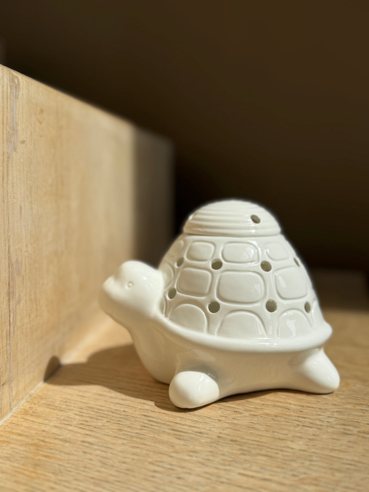 Schildpad waxbrander