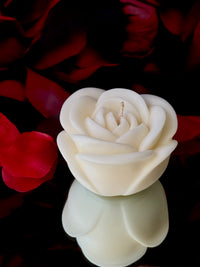 Love in bloom
