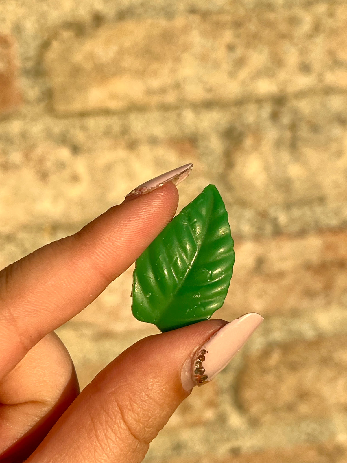 Green citrus - waxmelts