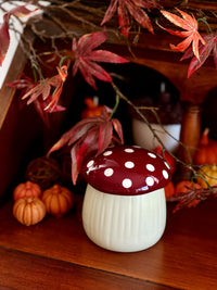 Forest Mushroom