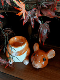 Little Mouse waxbrander