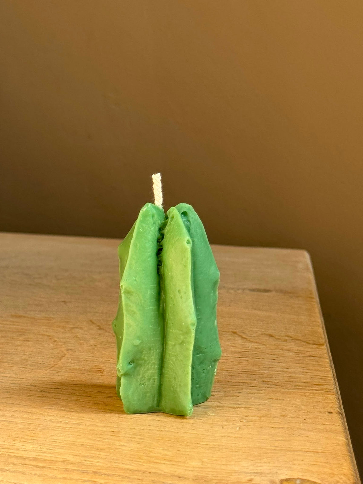 Star cactus
