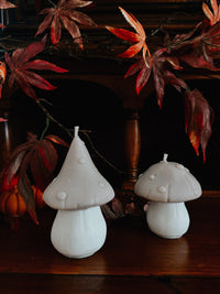Bougie Champignon