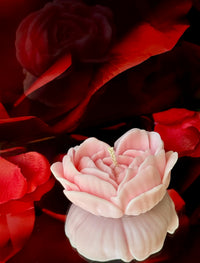 Blooming love