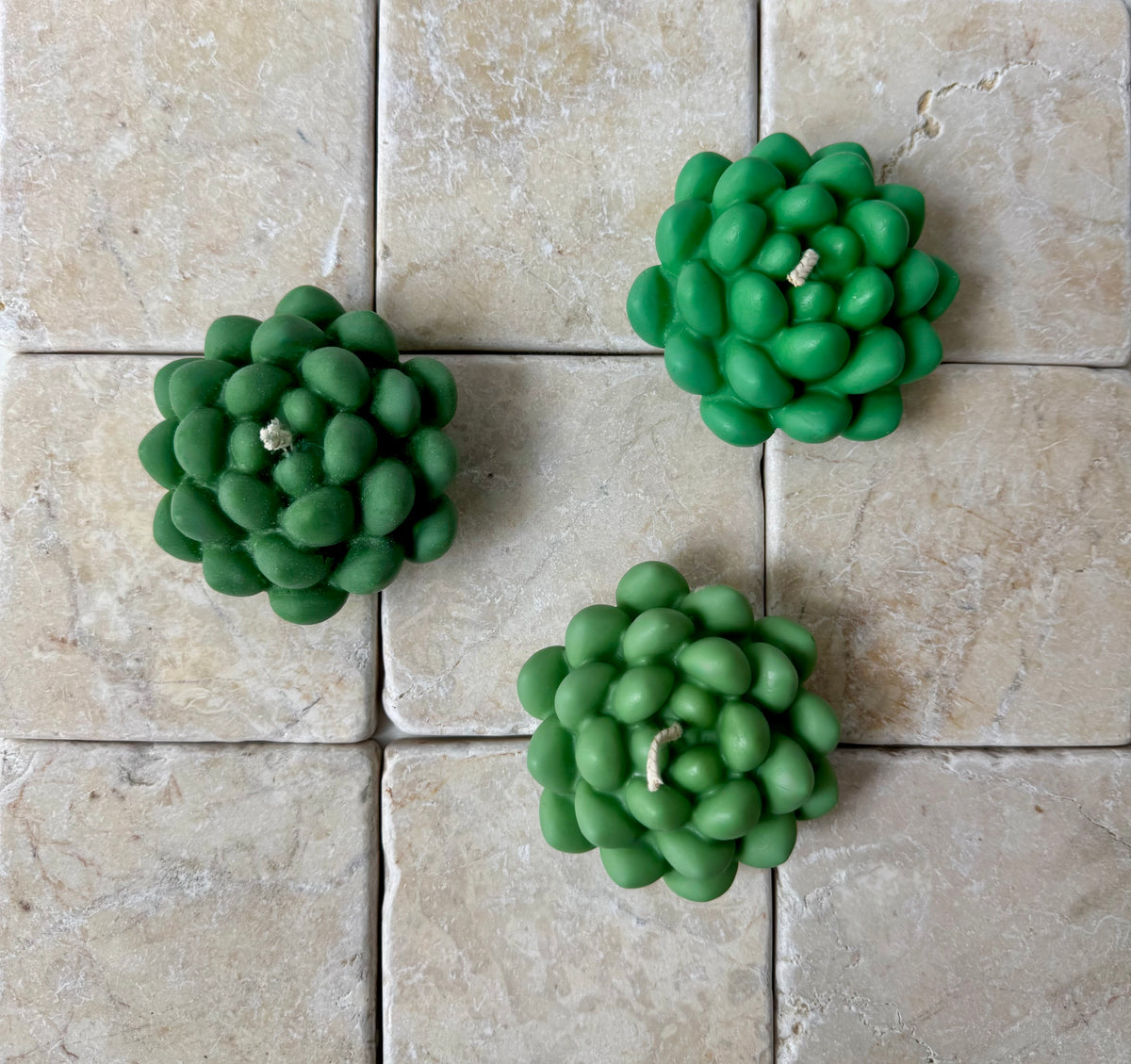 Bead succulent