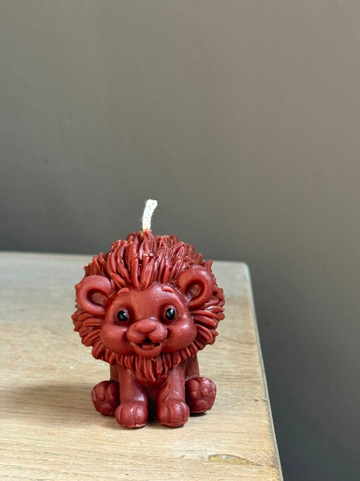 Wild lion