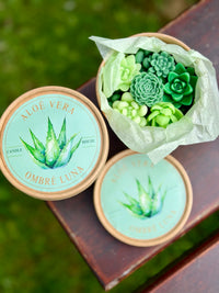 Aloe vera waxmelts