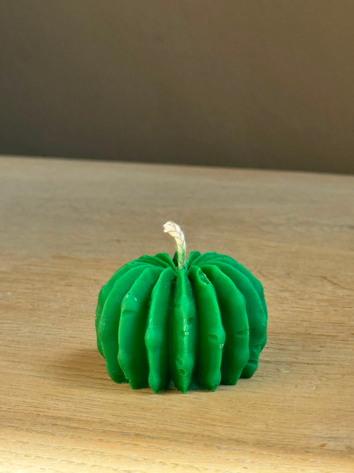Bolcactus