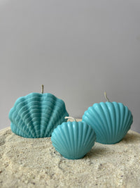 Maxi schelp