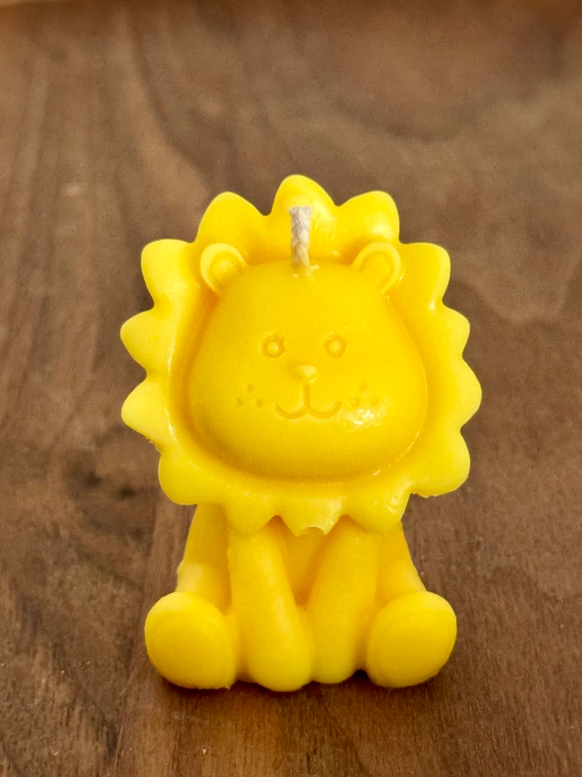 Leeuwtje 🦁