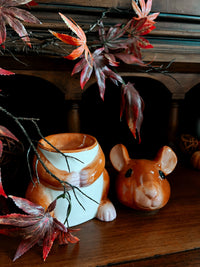 Little Mouse waxbrander