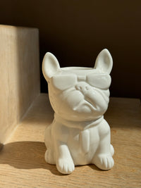 White Bulldog waxbrander