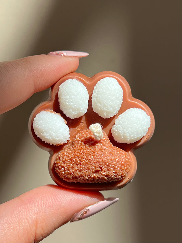 Little Paws