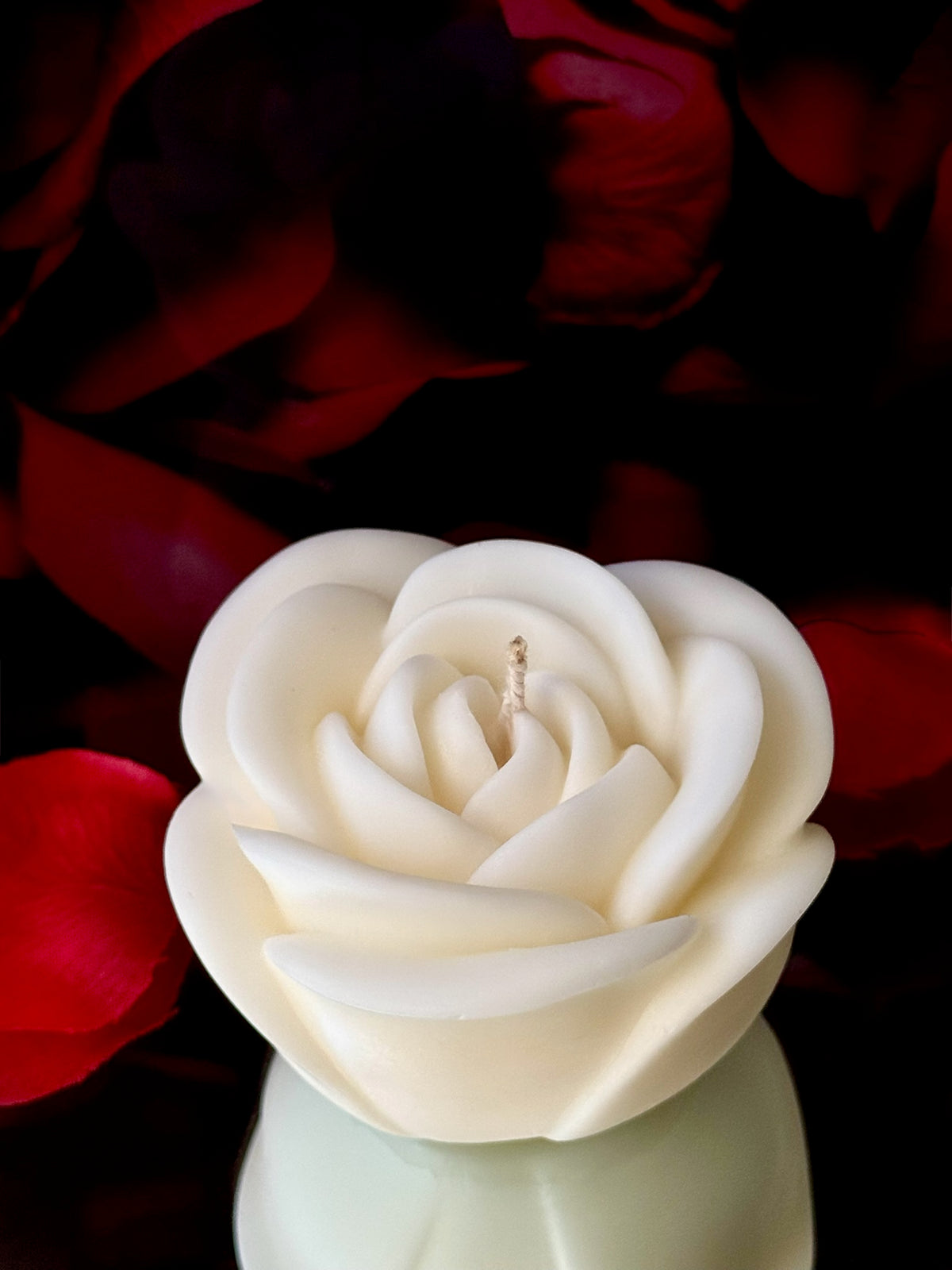 Love in bloom