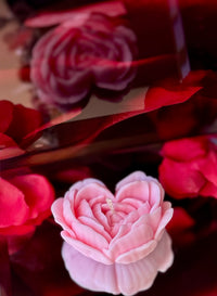 Blooming love