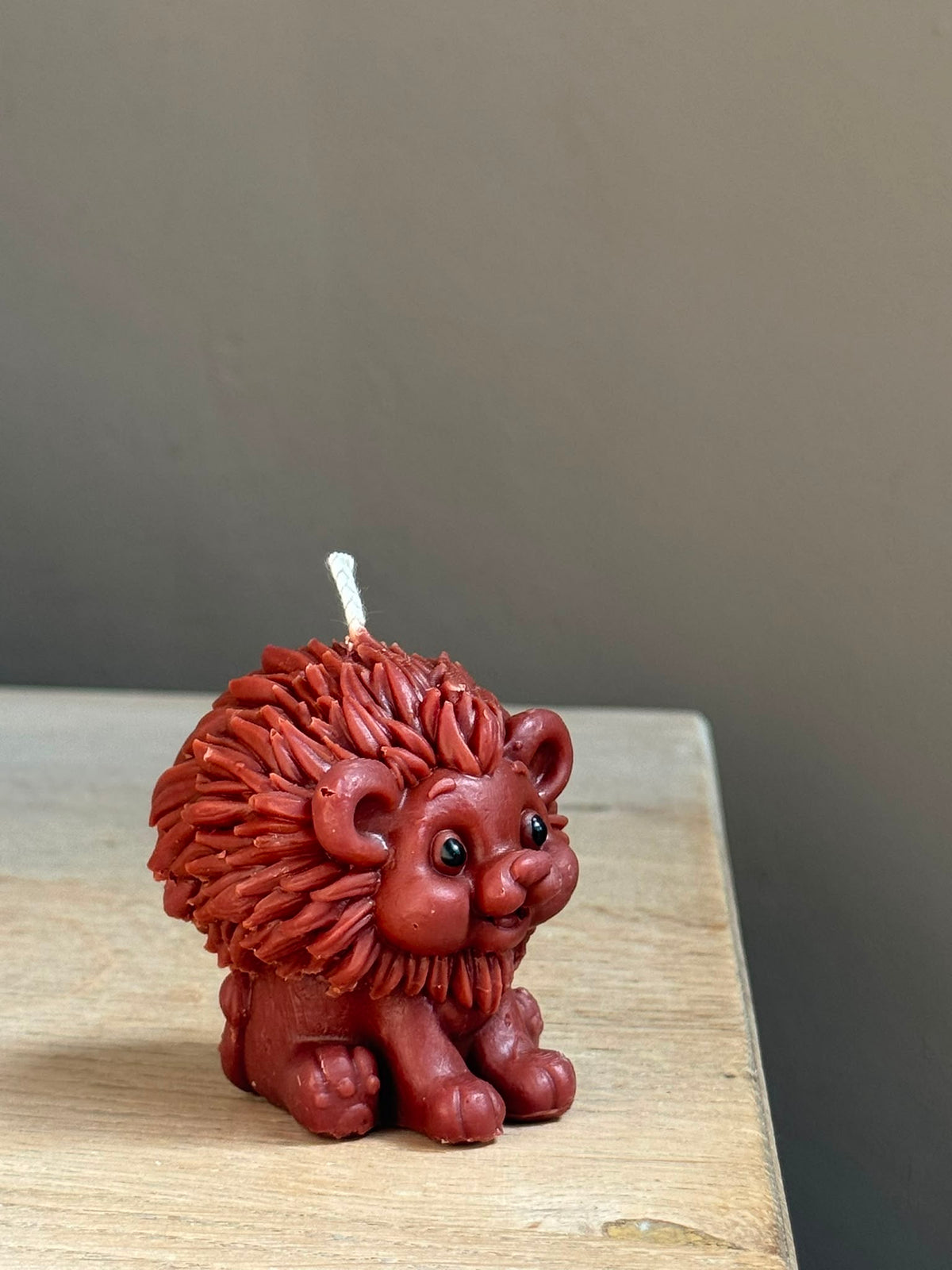 Wild lion