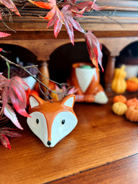 Foxy waxbrander