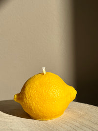 🍋 Lemon Slice
