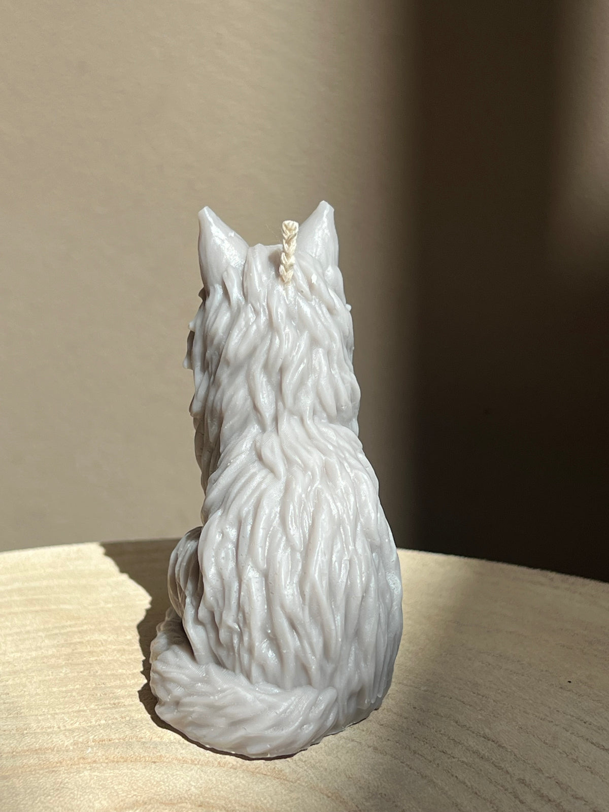 Bougie Maine Coon