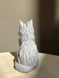 Bougie Maine Coon