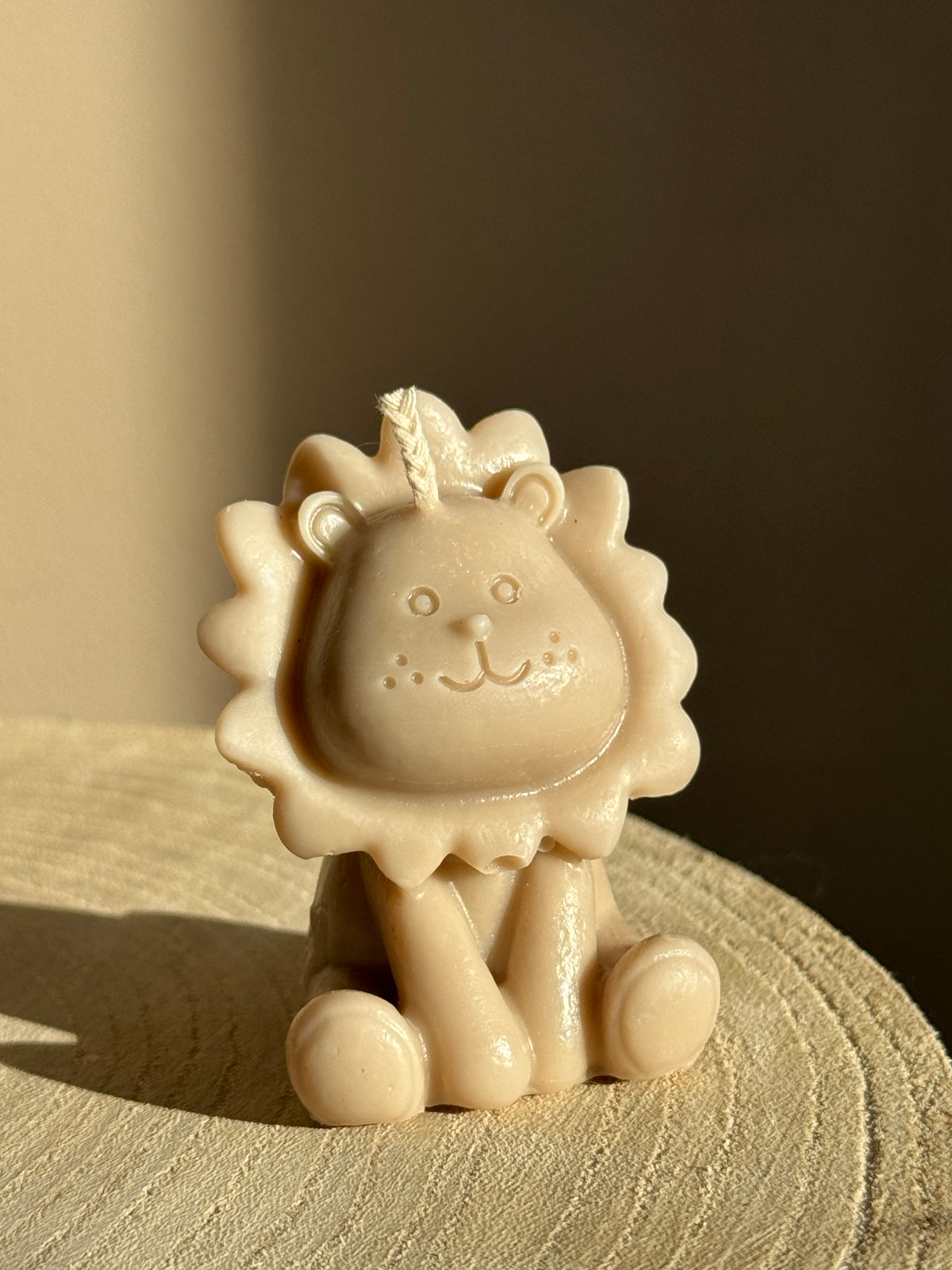 Leeuwtje 🦁