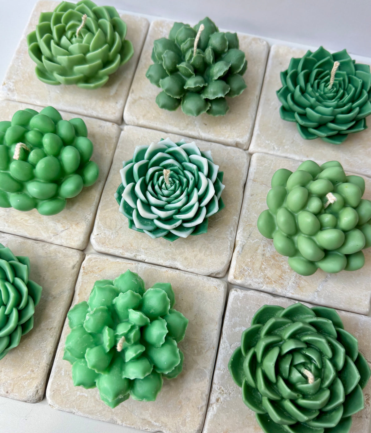 Bead succulent
