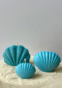 Maxi schelp
