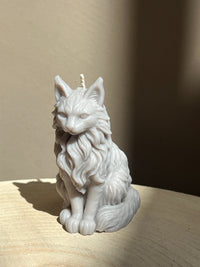 Bougie Maine Coon