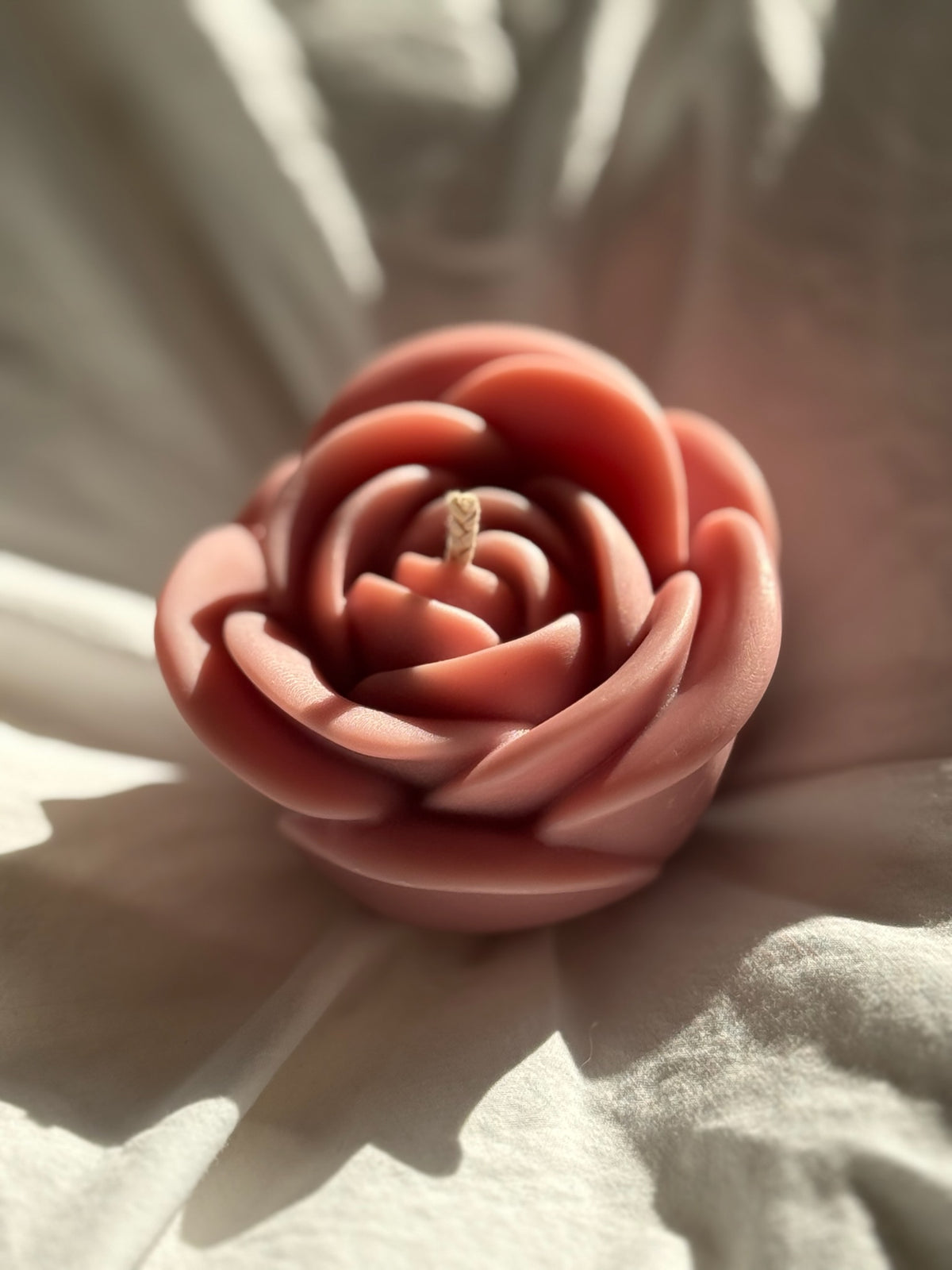 Love in bloom