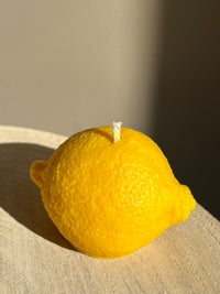 🍋 Lemon Slice