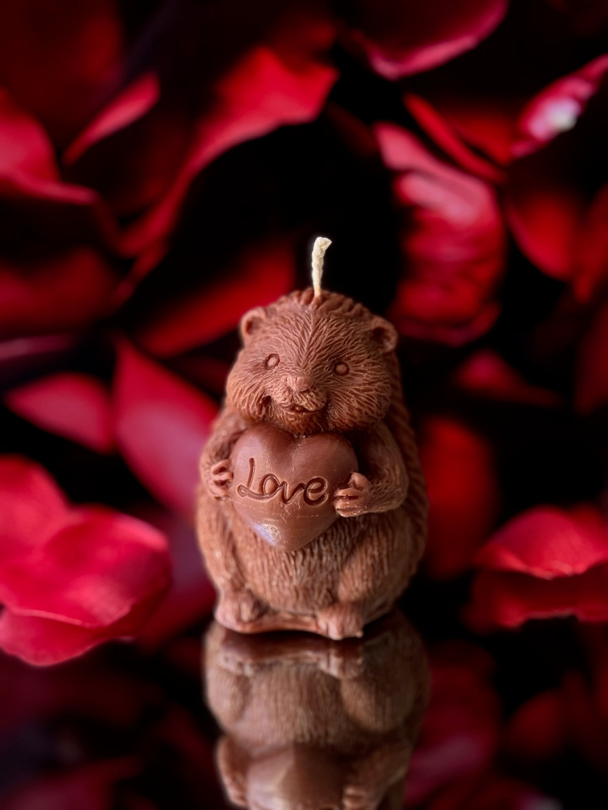 Love hérisson