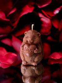 Love hérisson