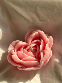 Blooming love