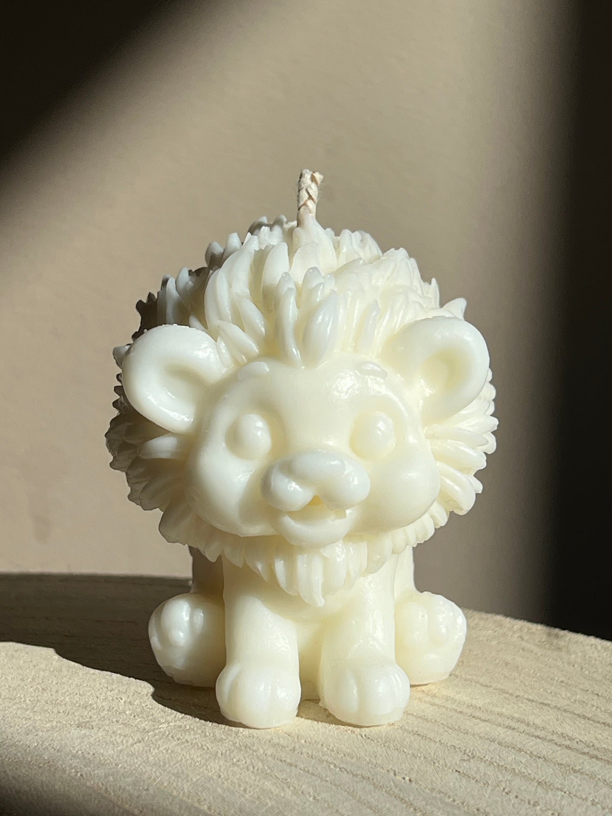 Wild lion