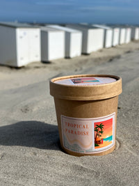 Tropical Paradise - wax melt