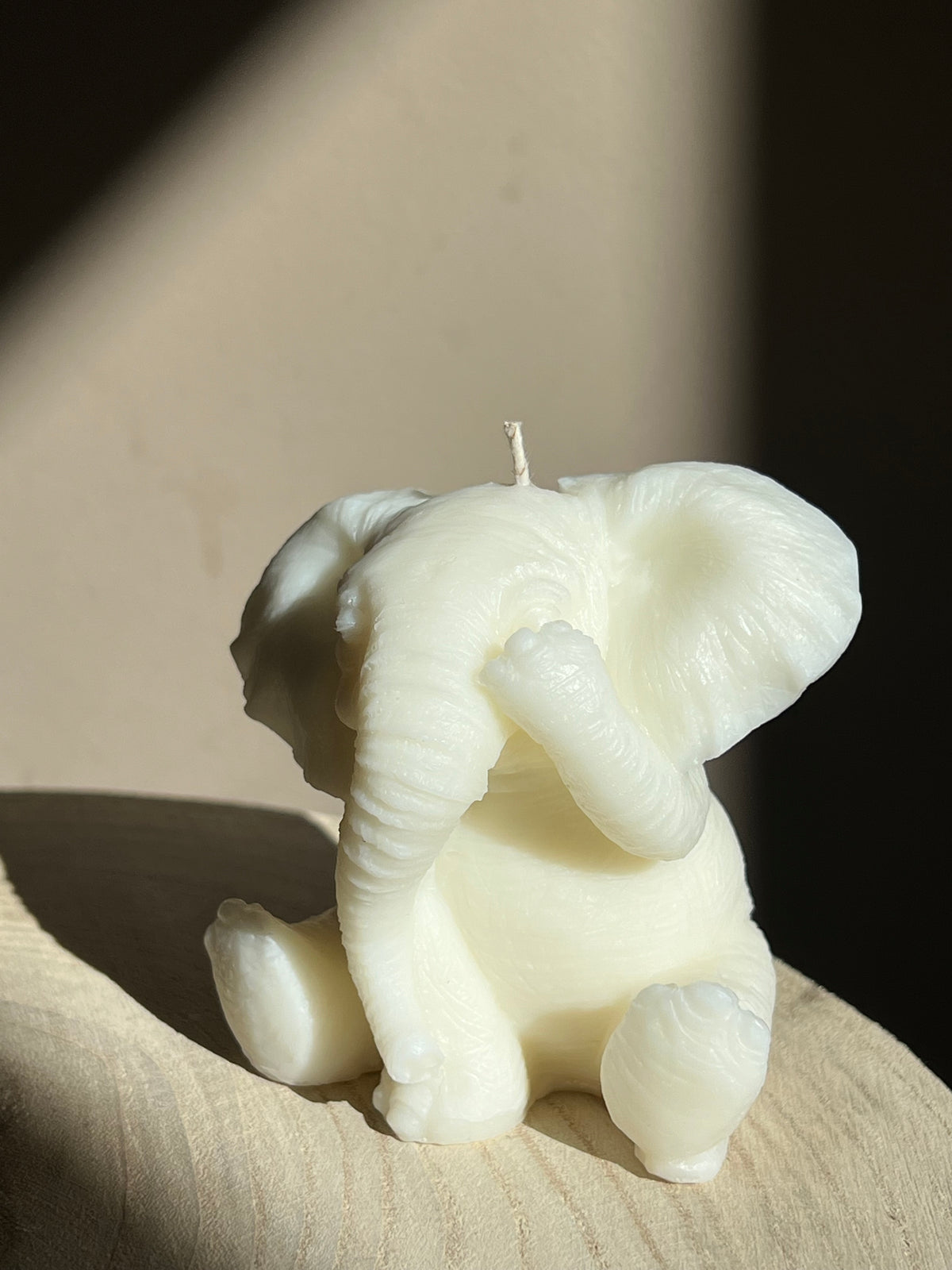 Lucky Elephant