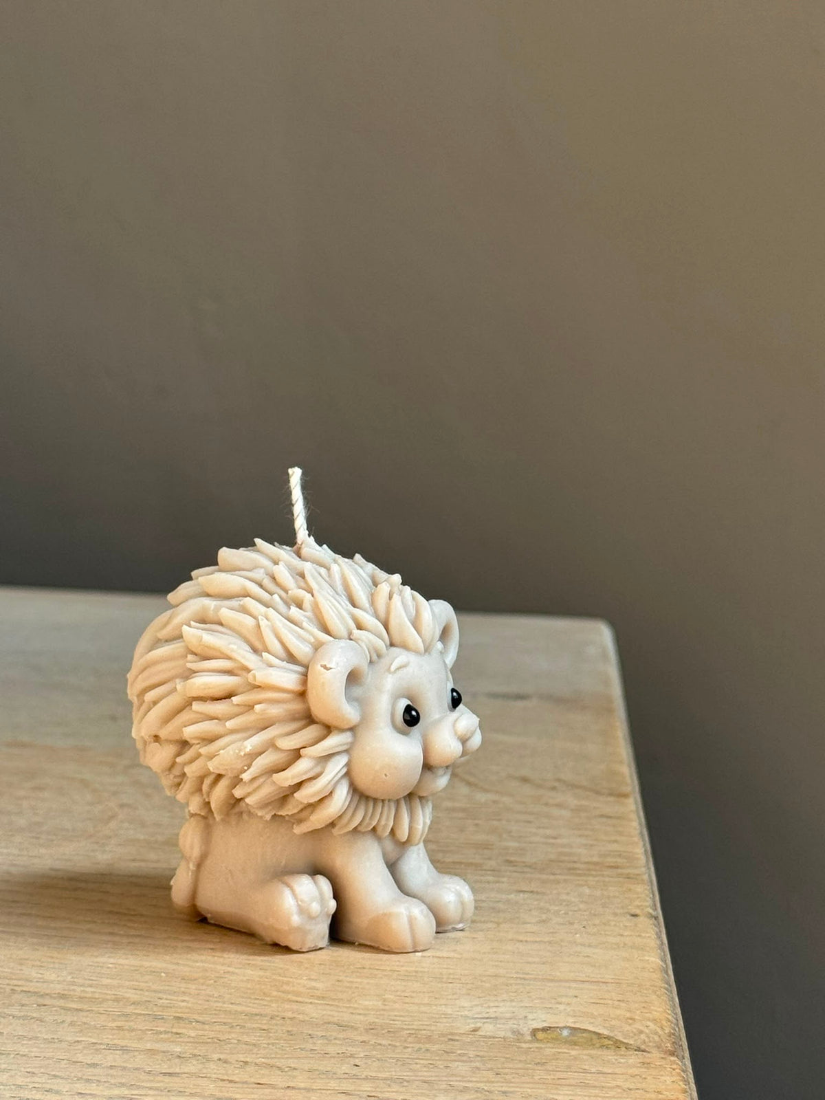 Wild lion