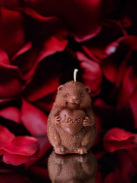 Love hérisson