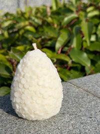 Little Blossom Egg