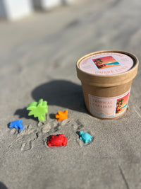 Tropical Paradise - wax melt