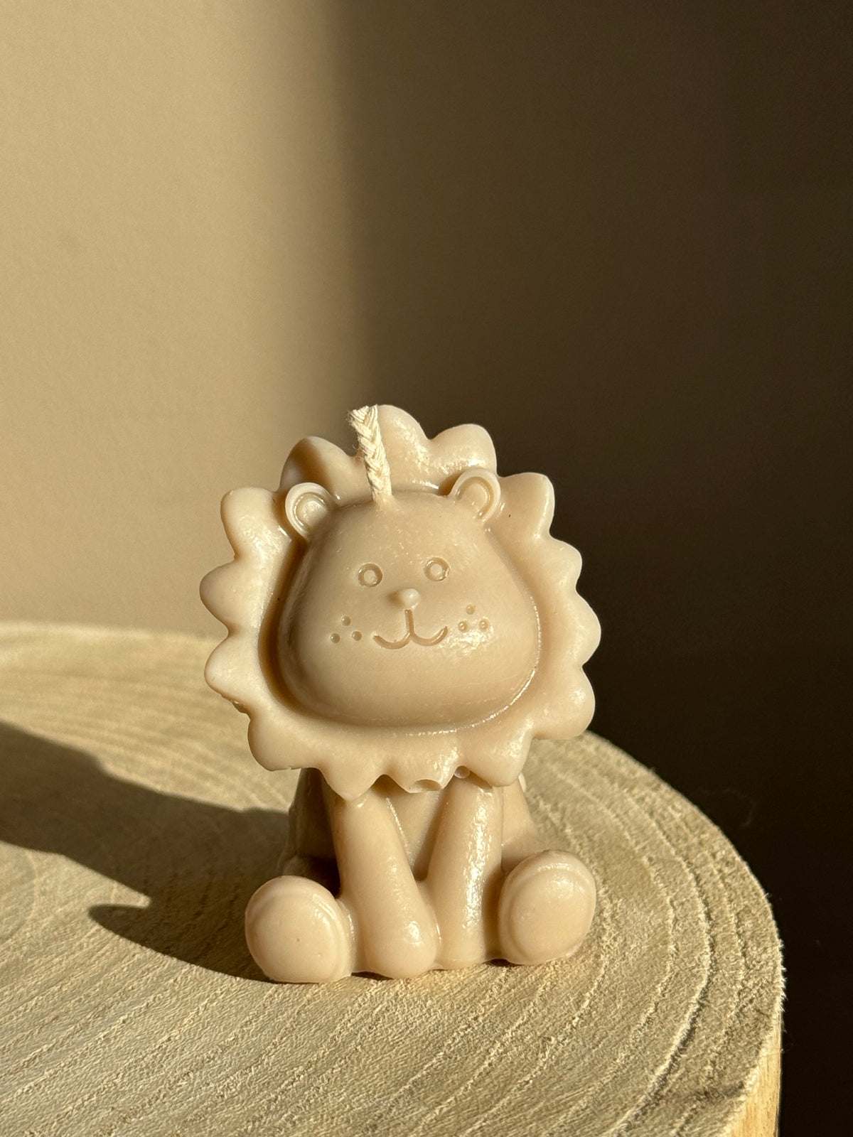 Leeuwtje 🦁