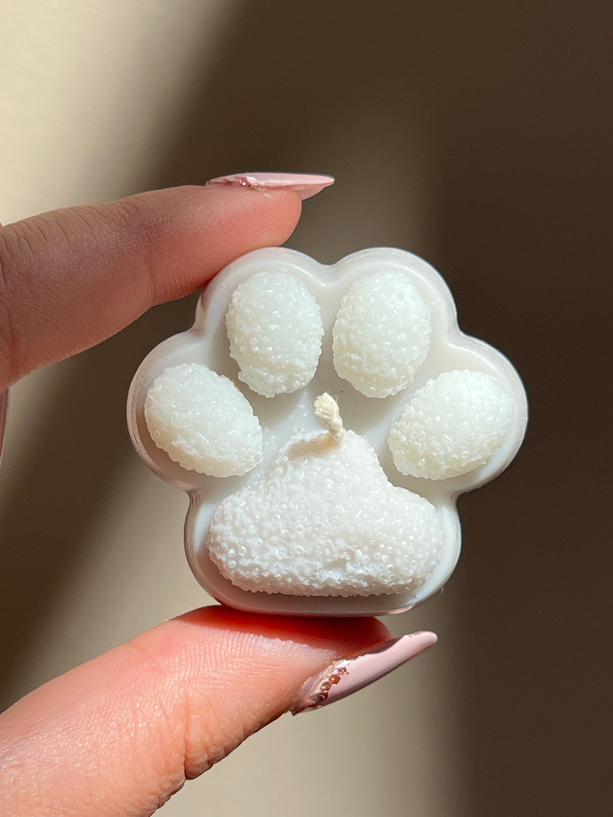 Little Paws