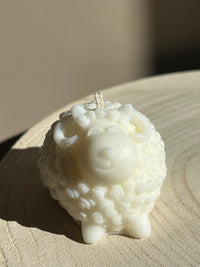 Schattige schaap