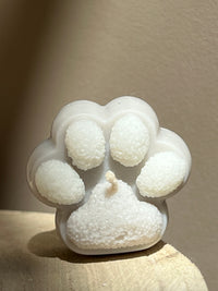 Little Paws