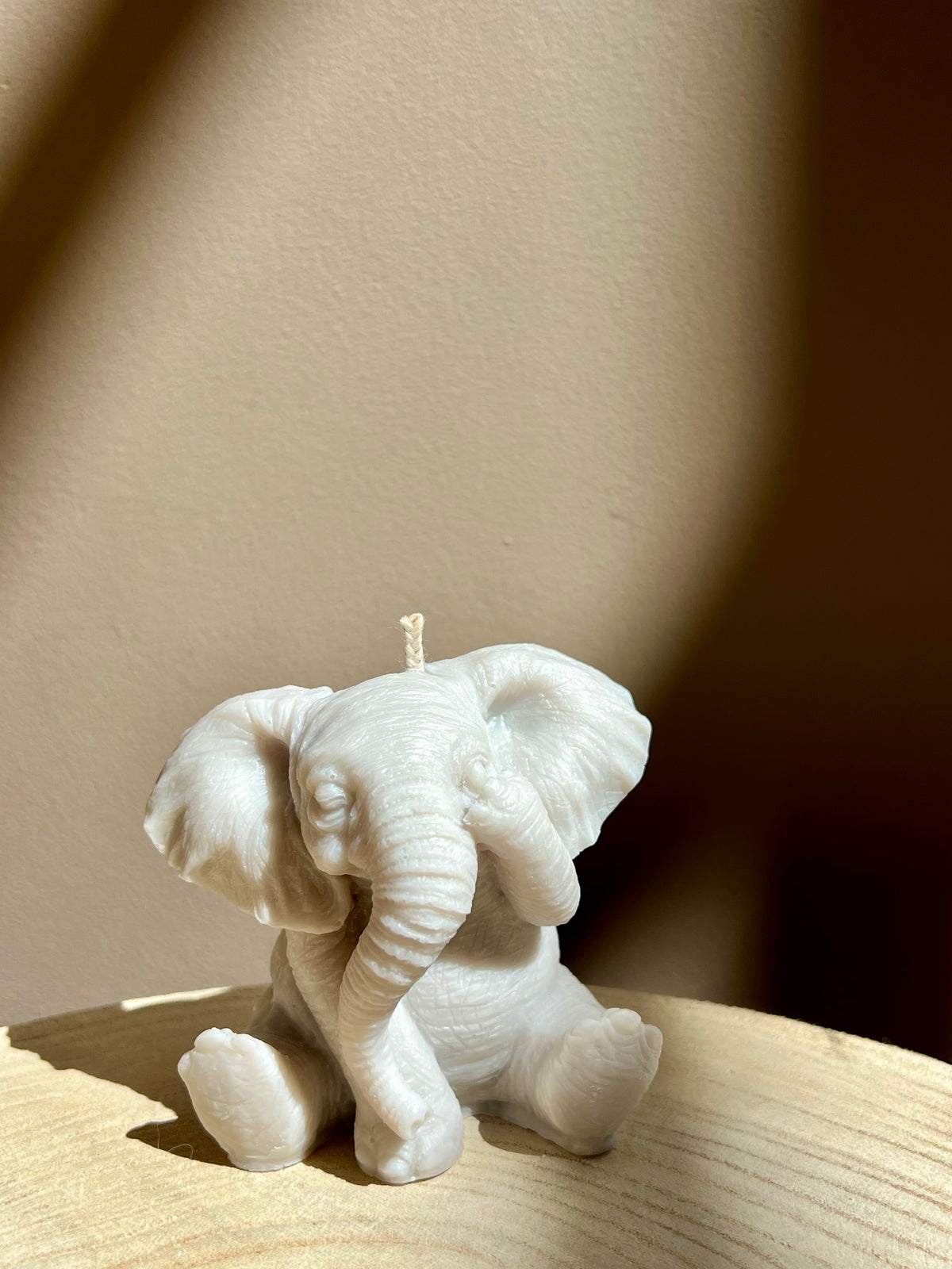 Lucky Elephant