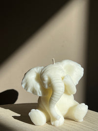 Lucky Elephant