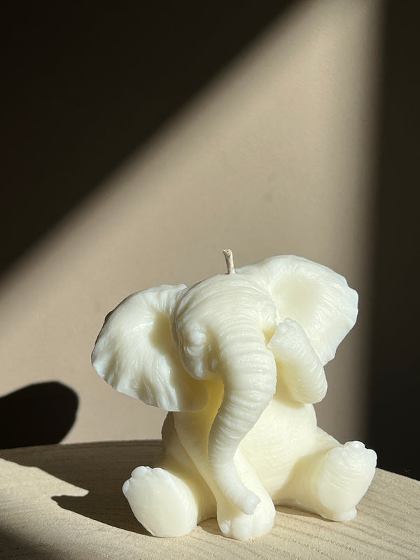 Lucky Elephant